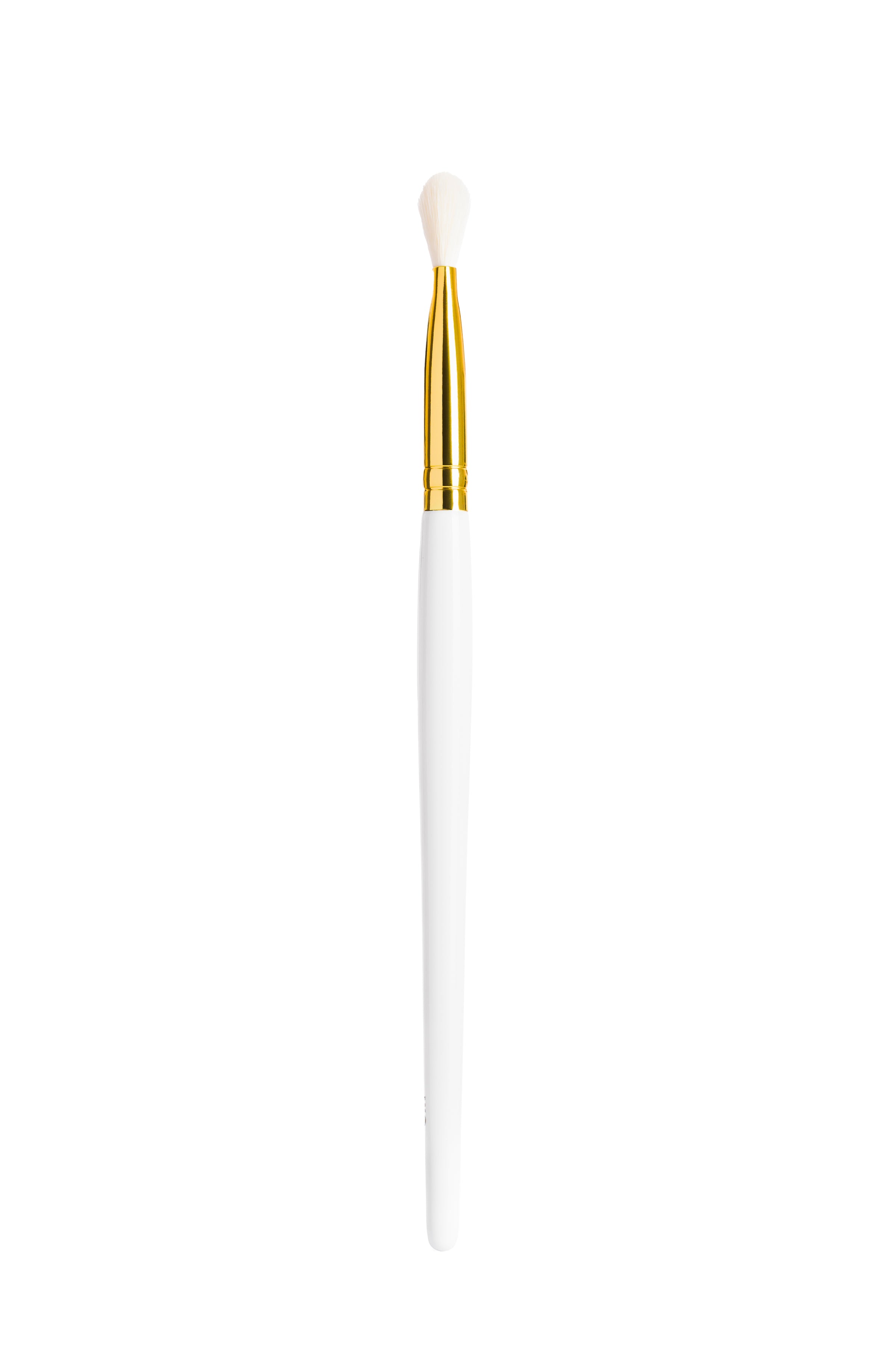 9 Blender Brush