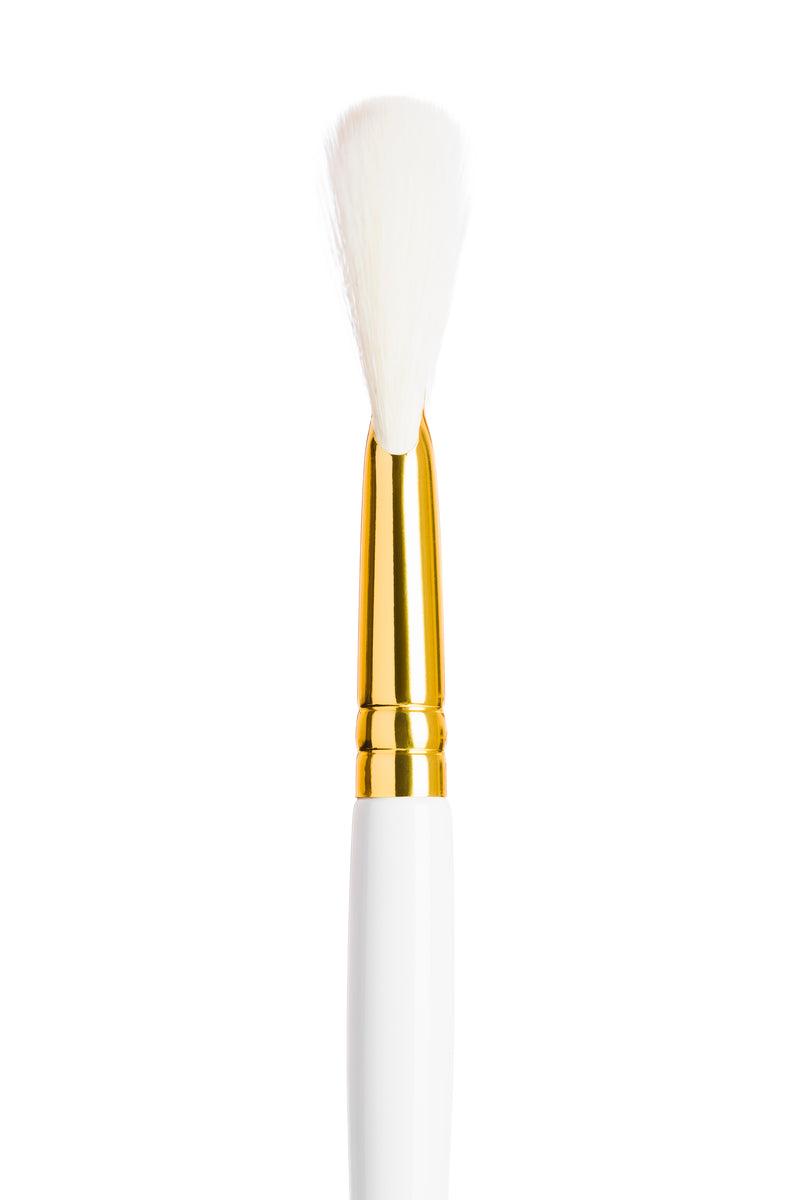 6 Fan Brush
