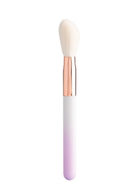 Limited Edition First Edition F1 Angled Cheek Brush