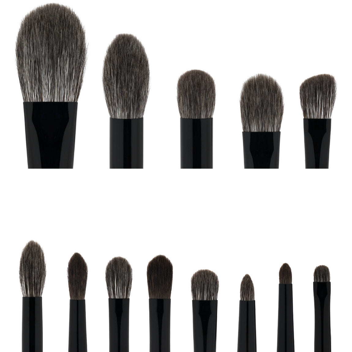 The Collector's Edition