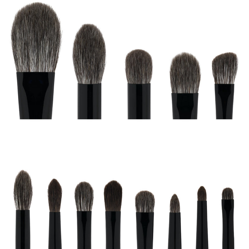 The Collector's Edition