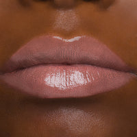 The High Shine Gloss - Petunia