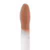 The High Shine Gloss - Tulip